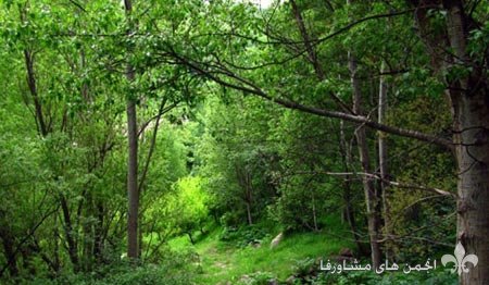 awww.beytoote.com_images_stories_iran_ir2536_13.jpg