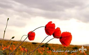 awww.beytoote.com_images_stories_iran_ir2532_1.jpg