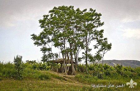 awww.beytoote.com_images_stories_iran_ir2316_1.jpg