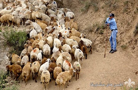 awww.beytoote.com_images_stories_iran_ir2316_3.jpg