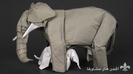 awww.beytoote.com_images_stories_economic_en5082.jpg