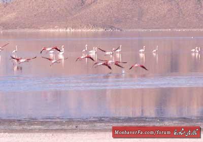 awww.beytoote.com_images_stories_iran_ir2263_6.jpg