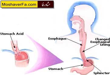 ecc51cee1ee55b5a0b188feb8e6bc419.jpg