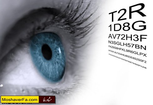 2fc74d05d2f25fead02436f874e93ac2.jpg