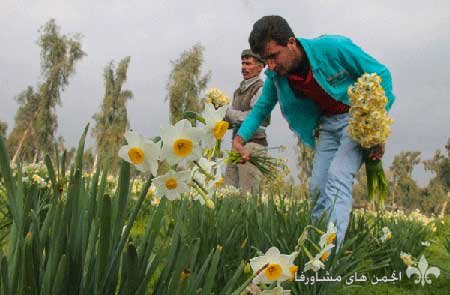 awww.beytoote.com_images_stories_iran_ir3002_3.jpg