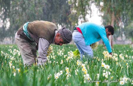 awww.beytoote.com_images_stories_iran_ir3002_5.jpg