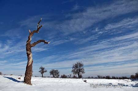 awww.beytoote.com_images_stories_iran_ir2994_7.jpg