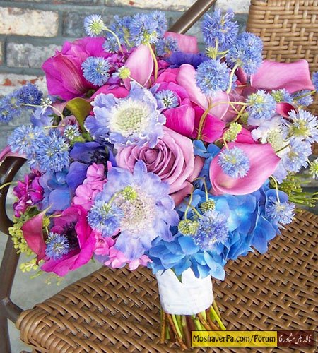 awww.beytoote.com_images_stories_housekeeping_hou6991.jpg