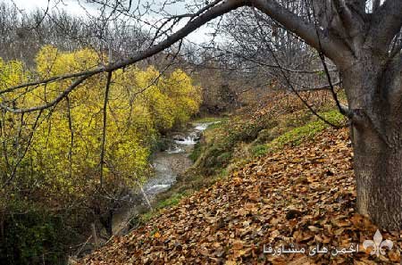 awww.beytoote.com_images_stories_iran_ir2963_5.jpg