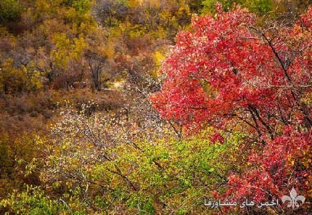 awww.beytoote.com_images_stories_iran_ir2925_3.jpg