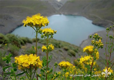 awww.beytoote.com_images_stories_iran_ir2698_4.jpg