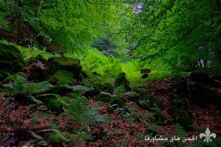 awww.beytoote.com_images_stories_iran_ir2654.jpg