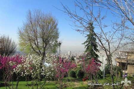 awww.beytoote.com_images_stories_iran_ir2637.jpg