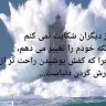 Farnaz_b